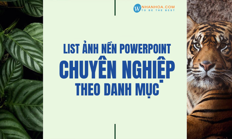 List Nh N N Powerpoint Chuy N Nghi P Theo Danh M