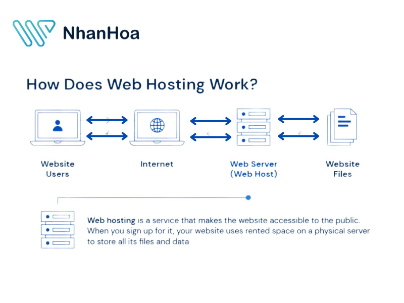 Hosting là gì