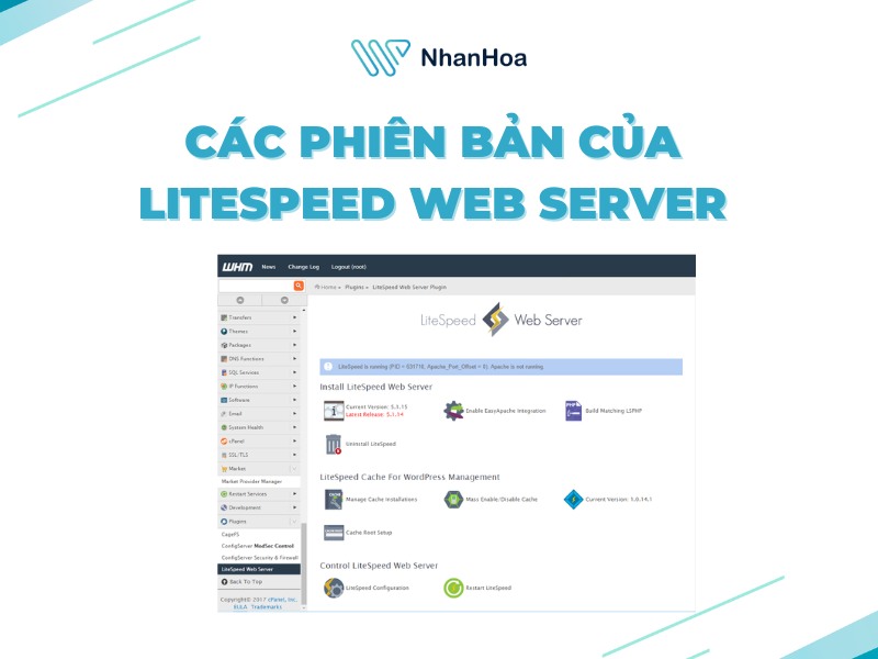 Các phiên bản của LiteSpeed Web Server hiện có