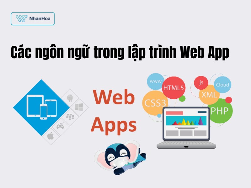 Web App