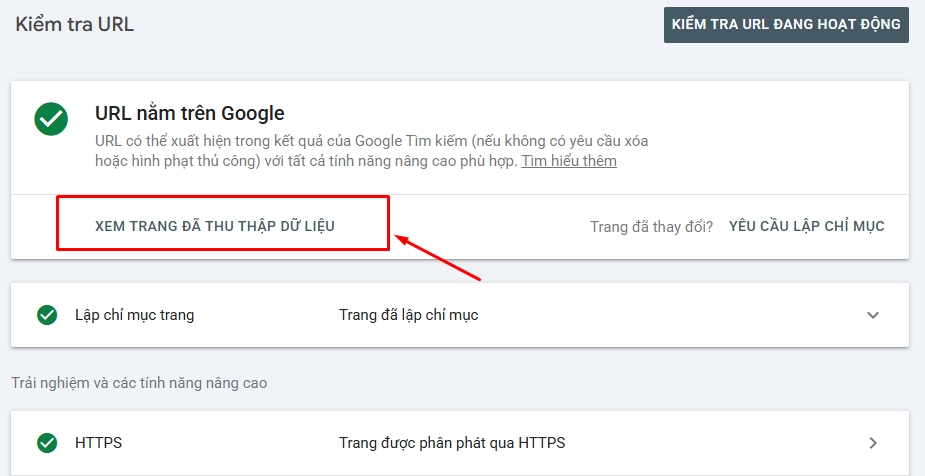 black hat SEO