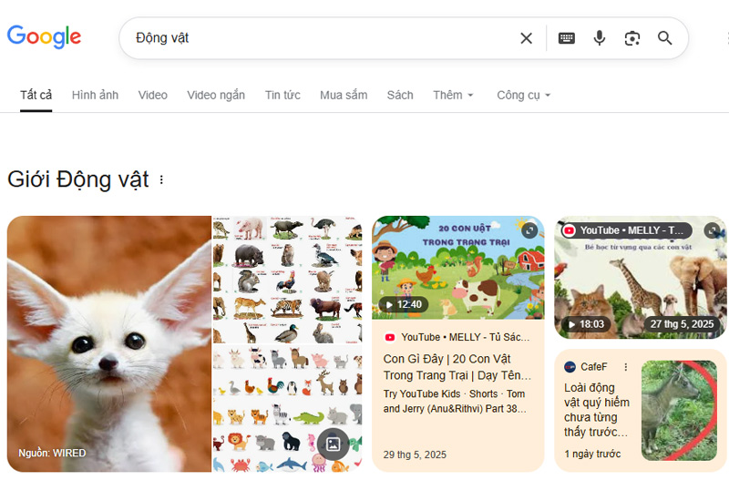 serp là gì