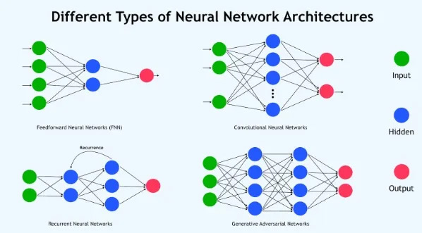 Các loại Neural Neural phổ biến