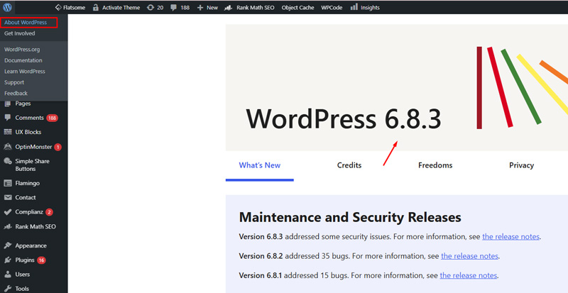 cách cập nhật wordpress​