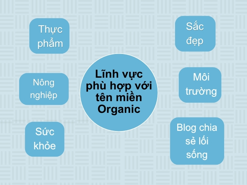 cách chọn tên miền