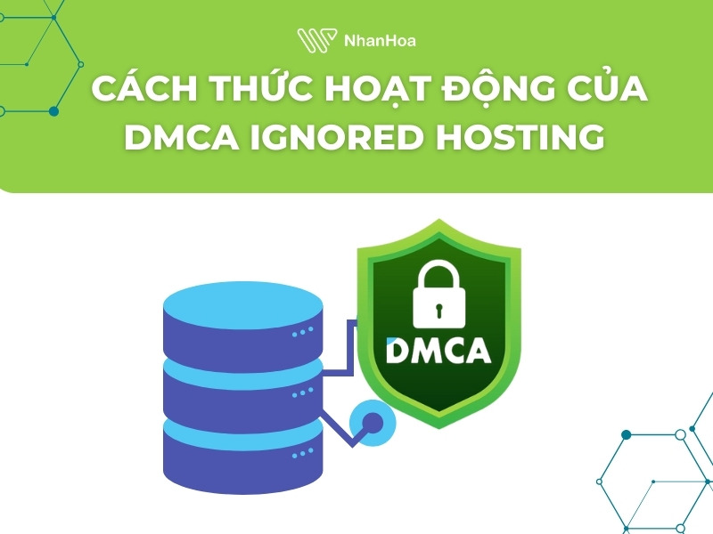 DMCA Ignored Hosting hoạt động như thế nào?