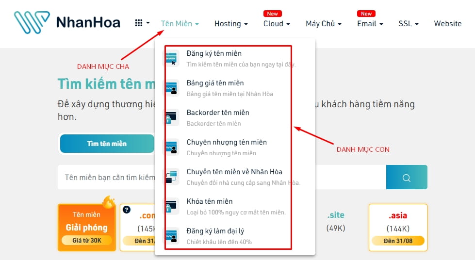 cấu trúc danh mục web
