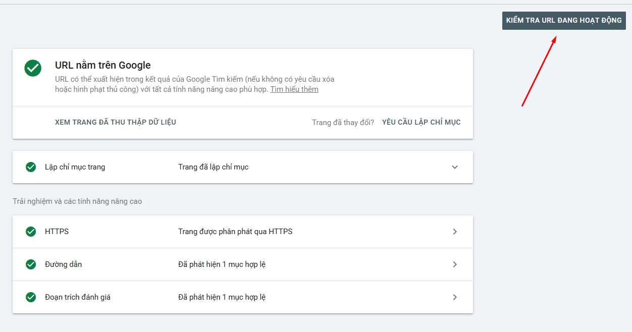 check duplicate content