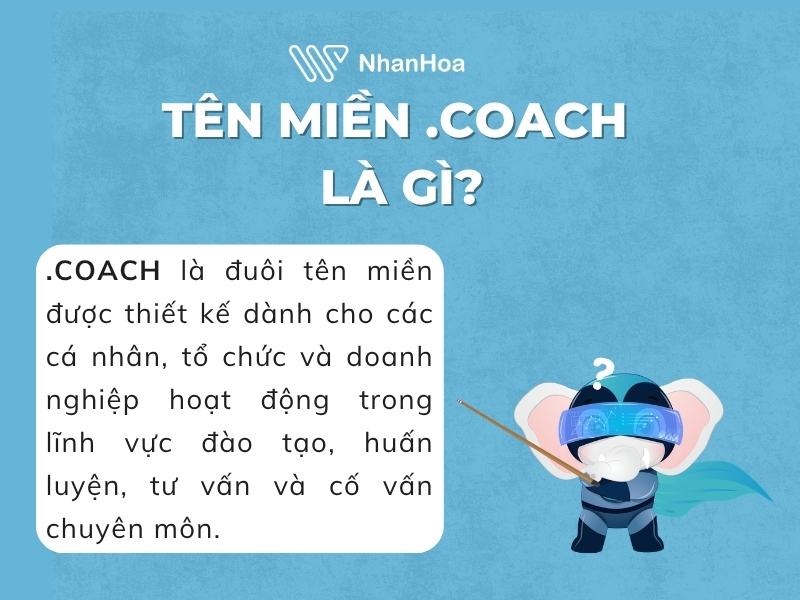 coach domain