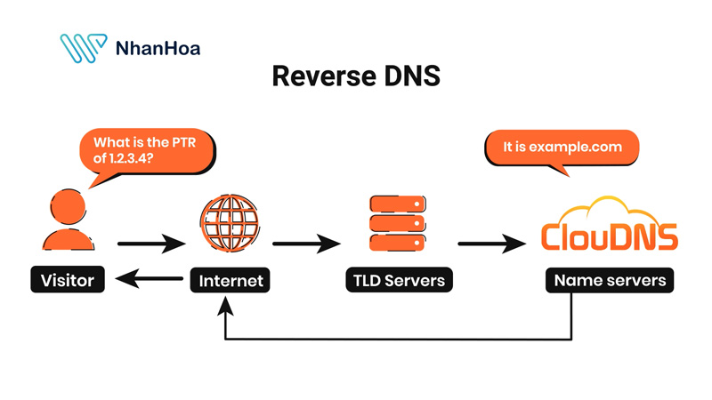 Phân giải ngược – Reverse DNS (IP → Domain)