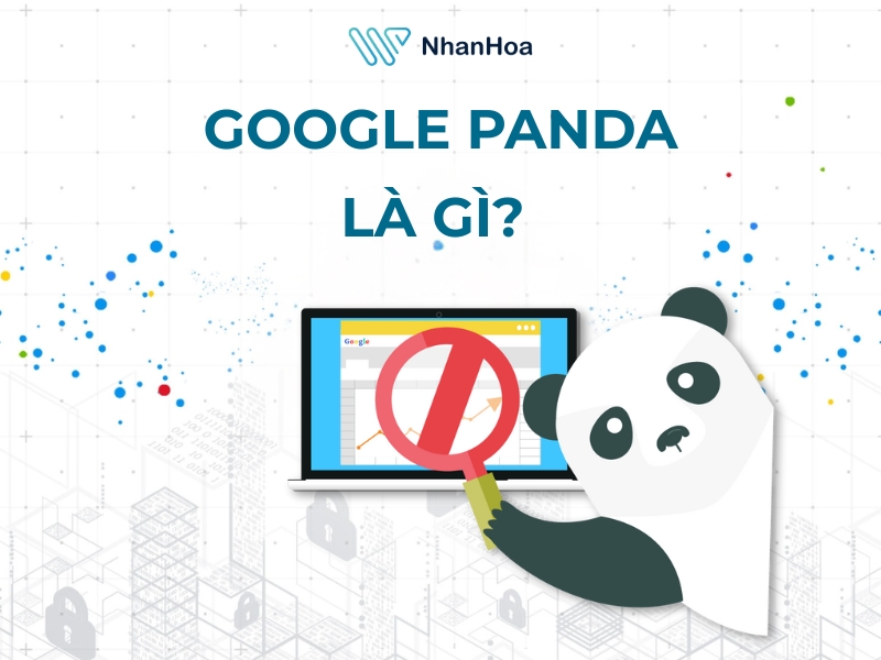 Google Panda là gì?