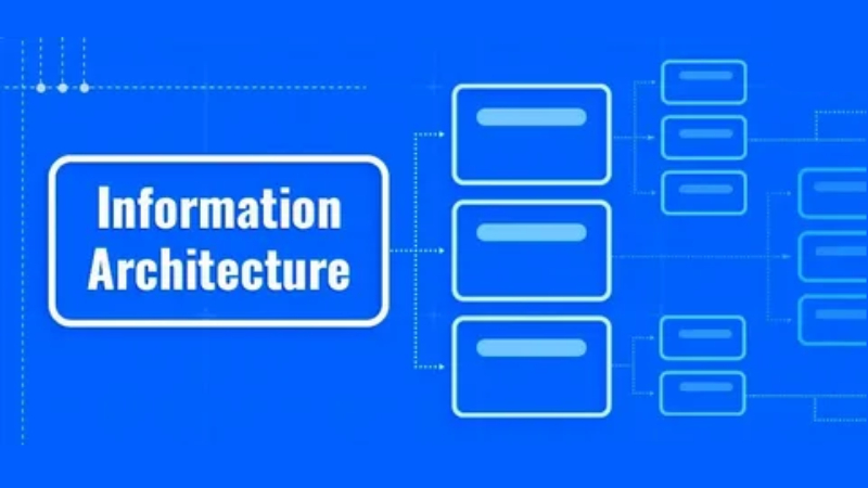 information architecture website