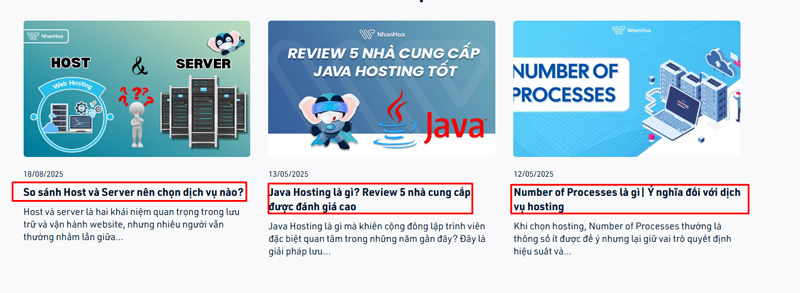 Internal link là gì? Cách tạo link nội bộ tăng sức mạnh SEO