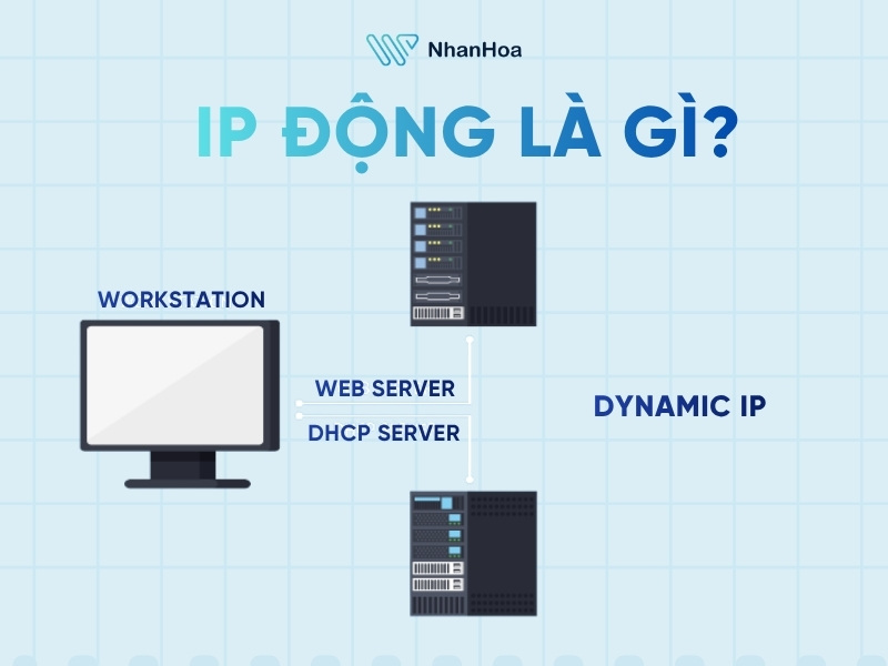 IP động