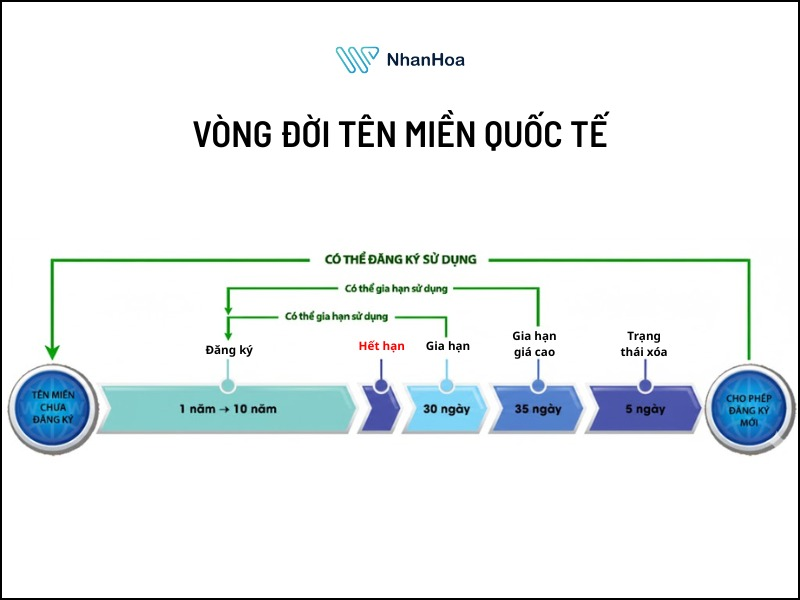 cách kiểm tra tên miền hết hạn