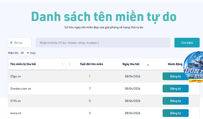 Cách kiểm tra tuổi domain