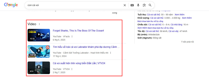Rich Snippets