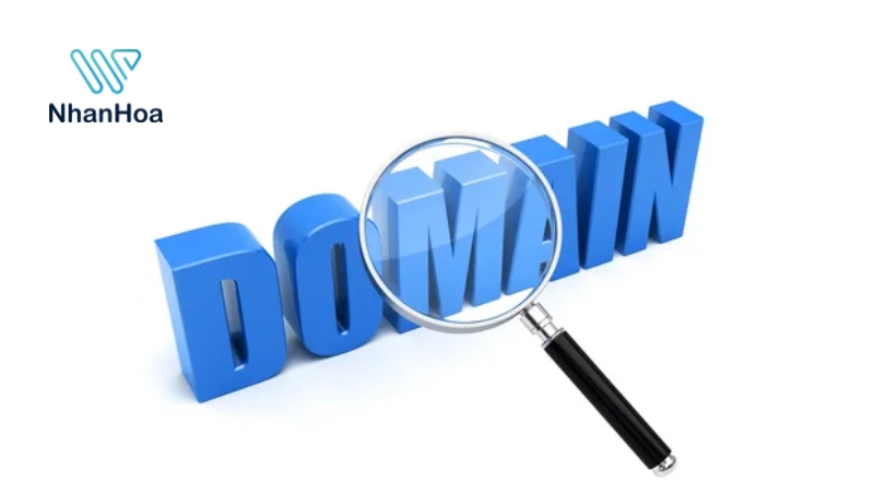 movie domain