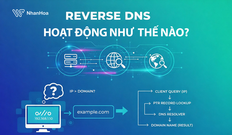 Reverse DNS hoạt động như thế nào?