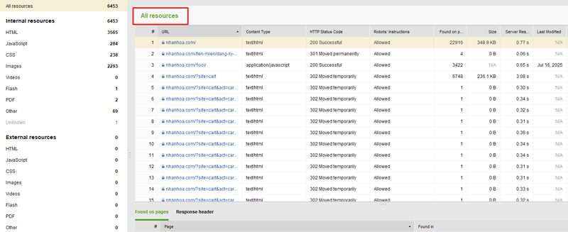 Website auditor