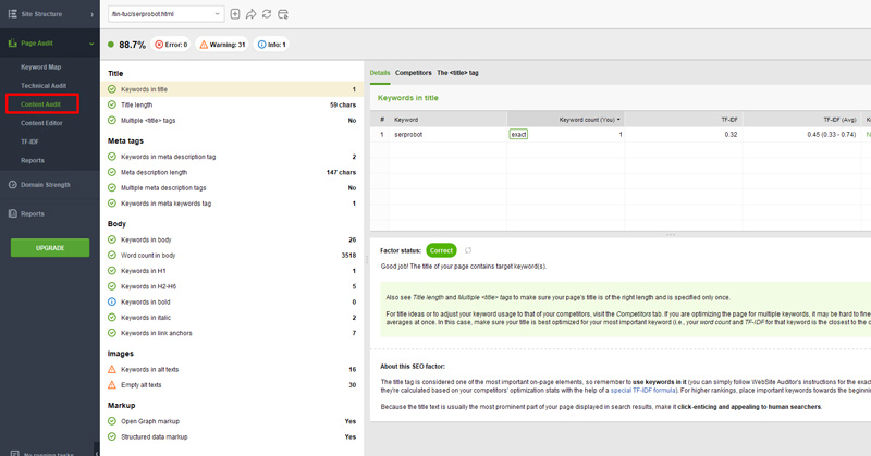 Website auditor