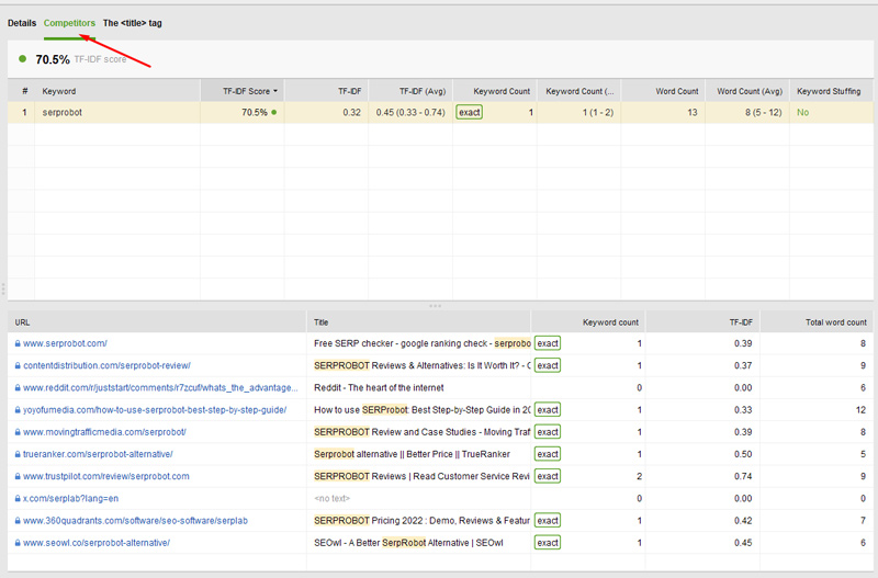 Website auditor