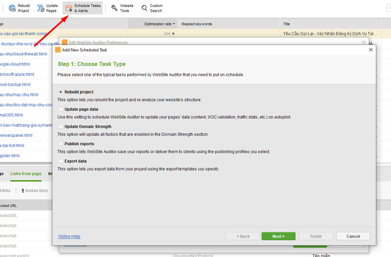 Website auditor