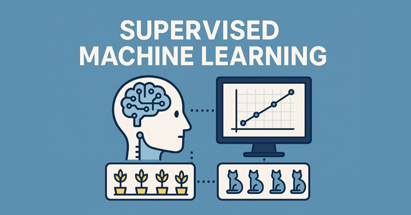 supervised learning