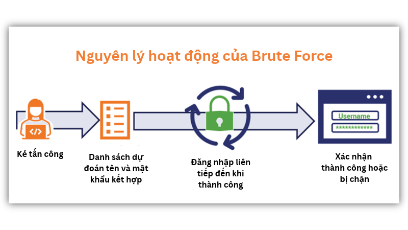 tấn công vét cạn là gì