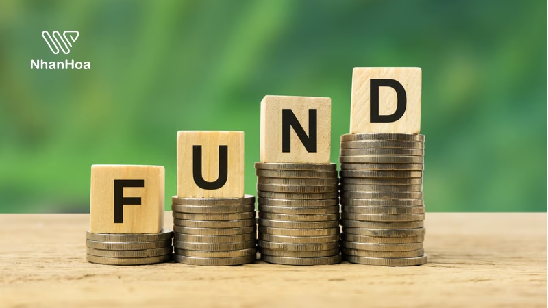 tên miền fund là gì