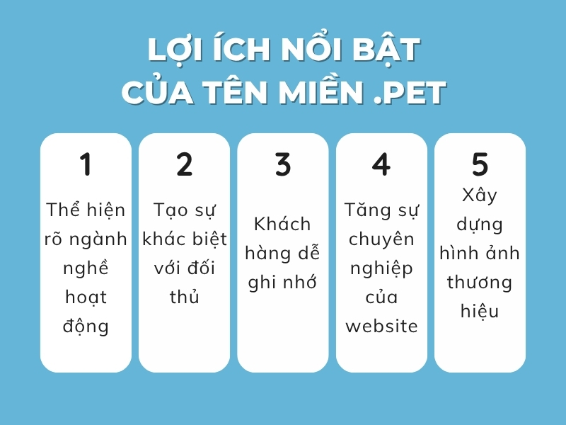 tên miền pet