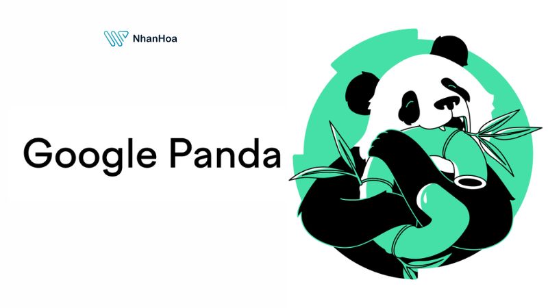 Thuật toán Panda của Google - Thuật toán gấu trúc