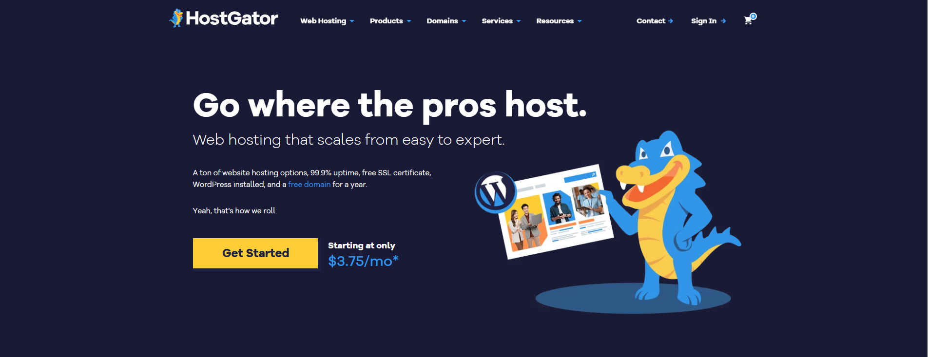 hosting việt nam