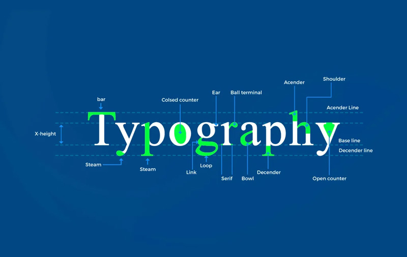 Vai trò của typography