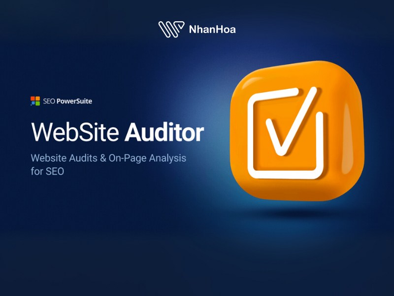 Website auditor