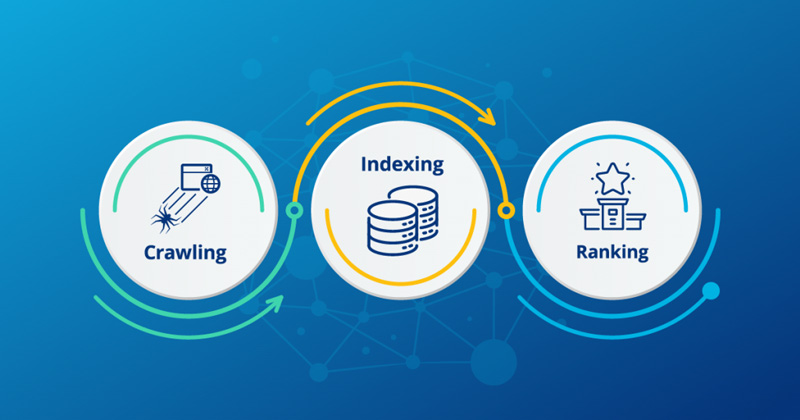 Ảnh hưởng của WWW đến SEO Website