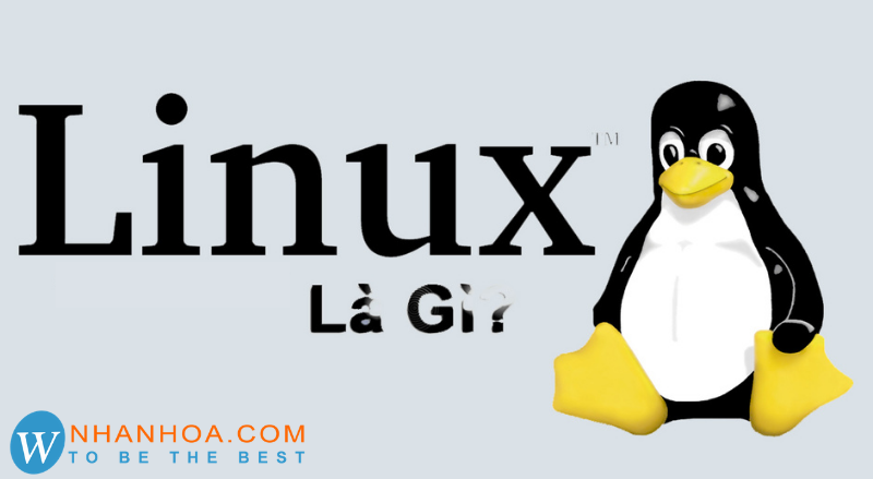Hệ điều hành Linux là gì? Những [ƯU THẾ] giúp Linux ghi điểm