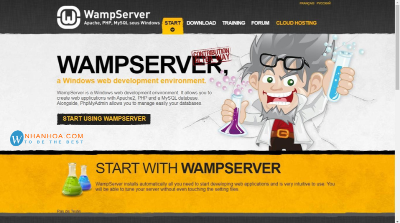 how to get wamp server online how to get wamp server online