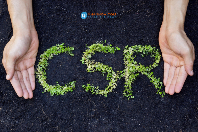 CSR là gì? [BẬT MÍ] Cách phát triển và truyền thông CSR hiệu quả