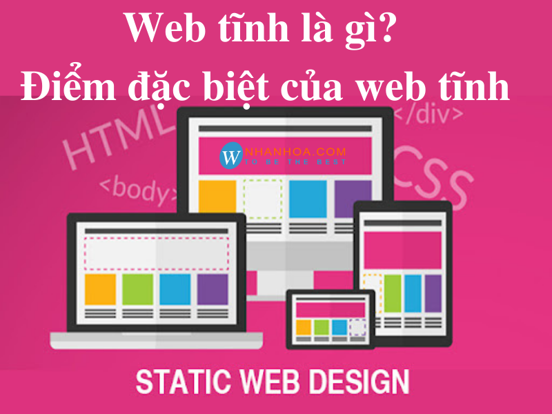 Web tĩnh là gì? Điểm khác biệt của web tĩnh